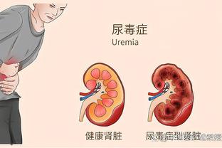 新利体育客户端下载平台截图3